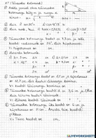 Täisnurkne kolmnurk