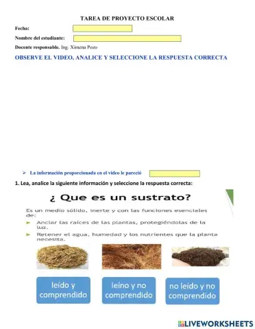 Sustrato para plantas de maceta