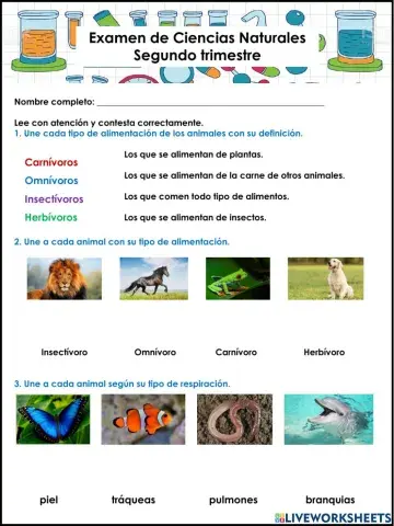 Examen de Ciencias Naturales 2do trimestre