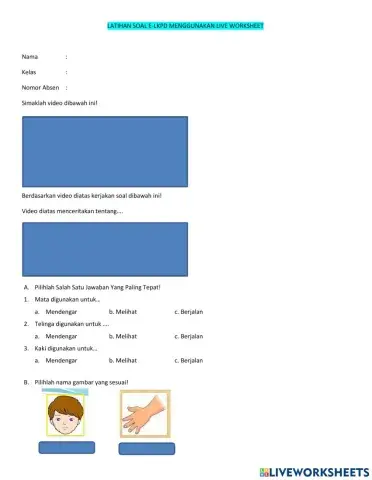 Mengenal Anggota Tubuh