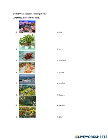 Vocab and speaking review