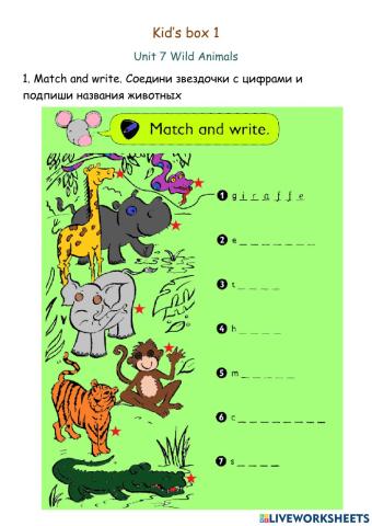 Kid's Box 1. Animals