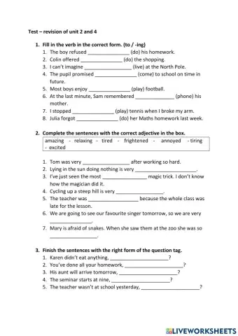 Test Project 4 - verb patterns, question tags, adjectives