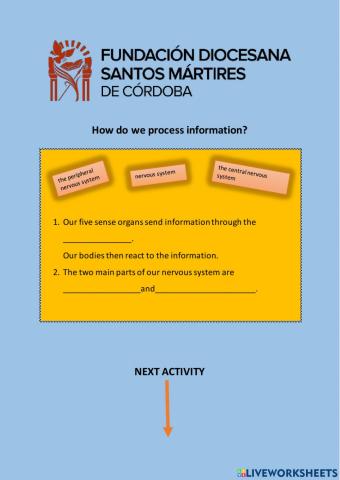 How do we process information?