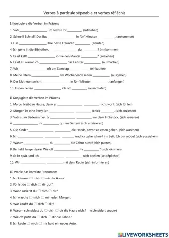 Parttikel- und Reflexivverben