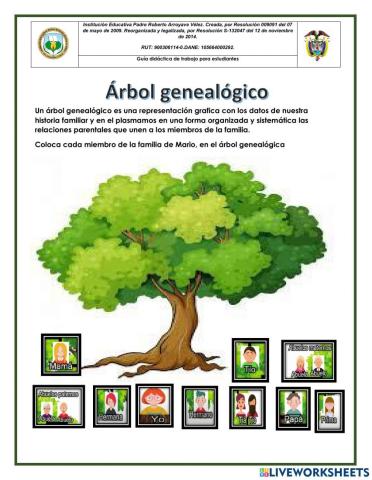 Coloca cada miembro de la familia de Mario en árbol genealógico.