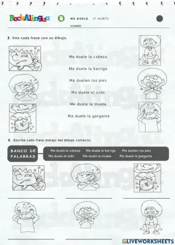 Los partes del cuerpo