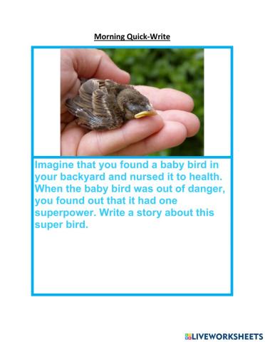 Quick Write - Baby bird