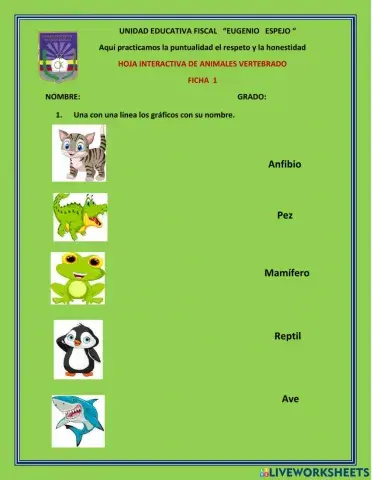 Animales  vertebrados