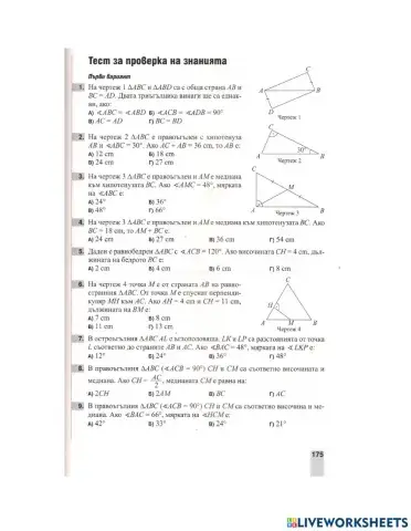 Еднакви триъгълници Общи задачи