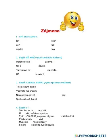 Opakování zájmena