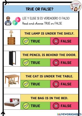 Read and true or false