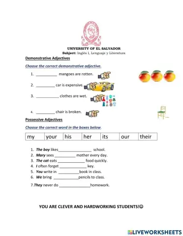 Demonstrative Adjectives and Possessive Adjectives