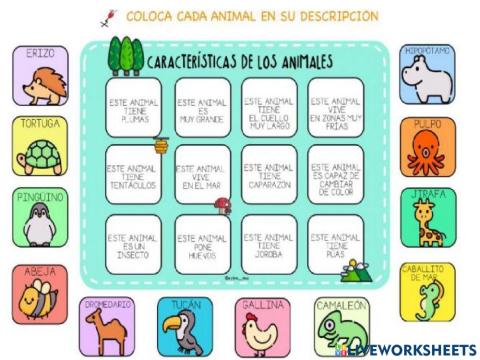 Adjetivos calificativos