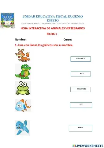 Animales Vertebrados
