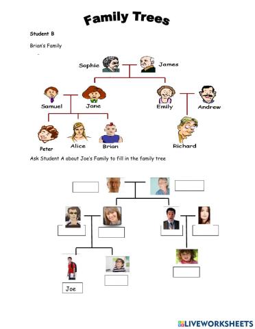 Student B Family Tree