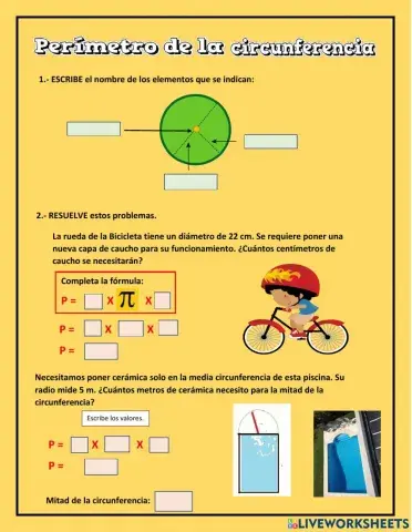 Perímetro de la circunferencia y diagramas circulares