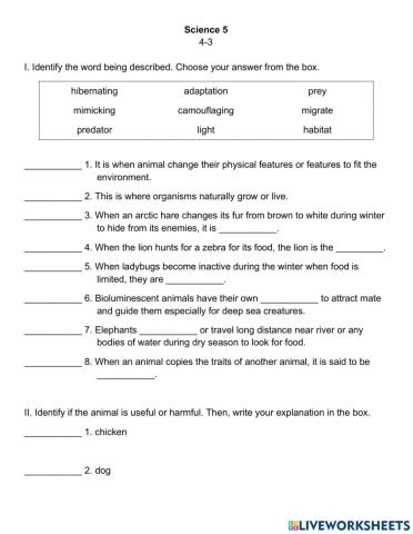 Animal Adaptation & Useful and Harmful Effects of Animals QUIZ