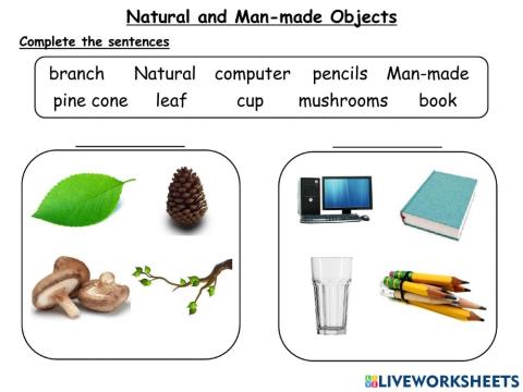 Natural and Man-made materials