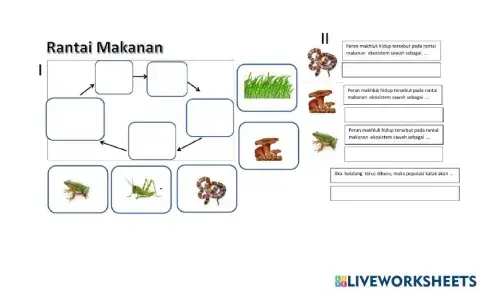 Latihan rantai makanan