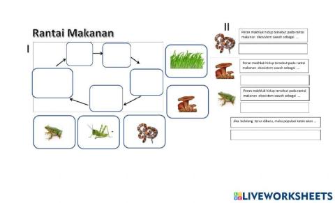 Latihan rantai makanan