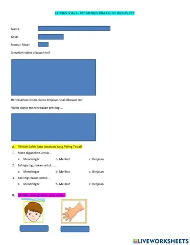 Mengenal Anggota Tubuh