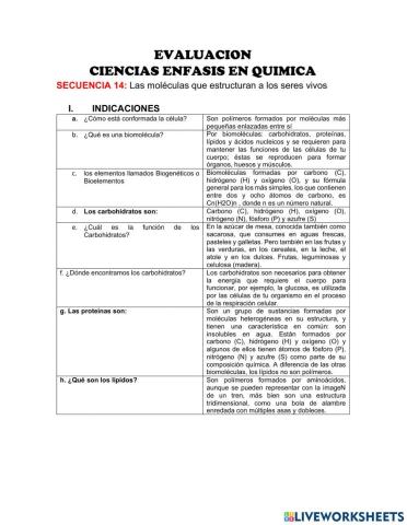 Las moléculas que estructuran a los seres vivos