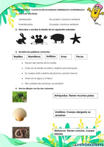 Clasificación de vertebrados e invertebrados