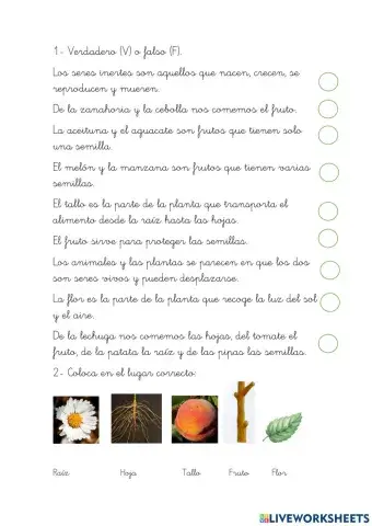 Las plantas 1º