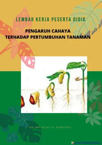 Lkpd-pertumbuhan tanaman