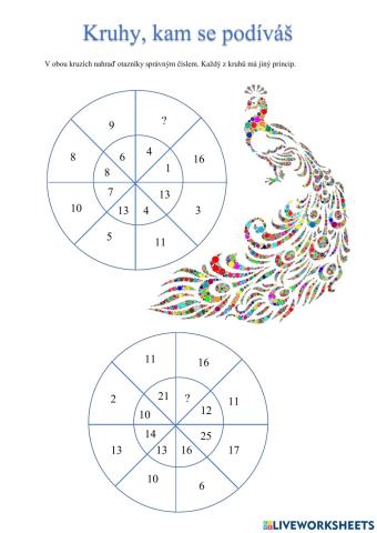 Kruhy, kam se podíváš