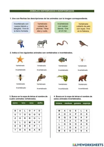 Animales vertebrados e invertebrados