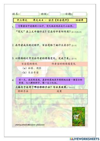 中三单元4.4《百合花开》