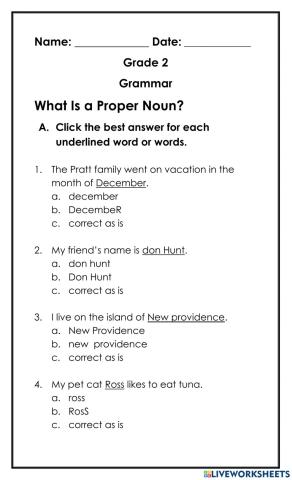 What is a proper noun
