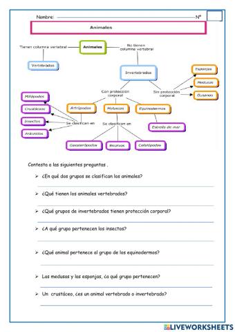 Animales vertebrados e invertebrados