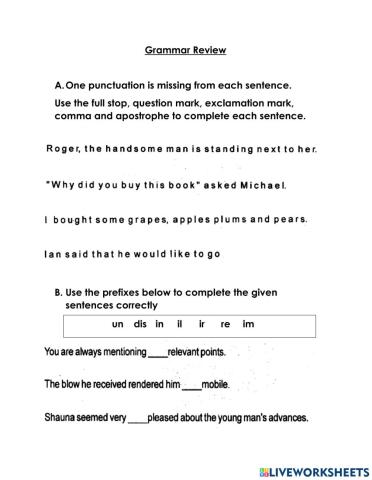 Grammar Review Exercise