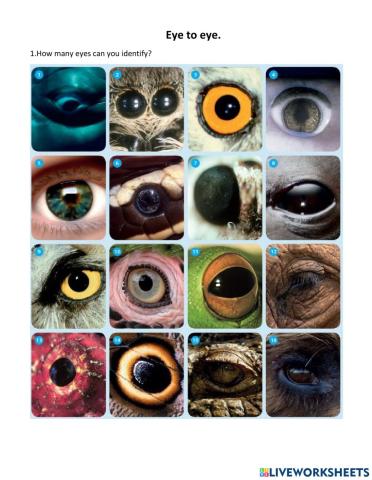 Eye to eye.EP1. (pg.39).