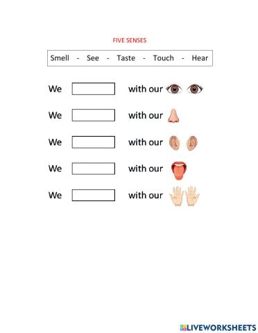 Five senses