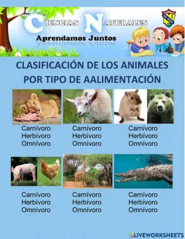 Clasificaciones de los animales