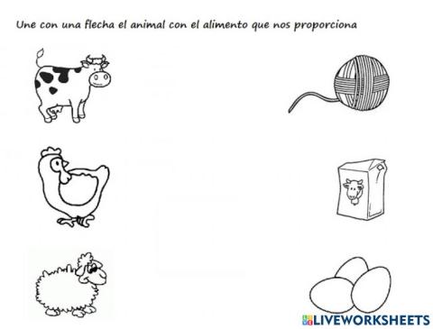 Productos animales granja