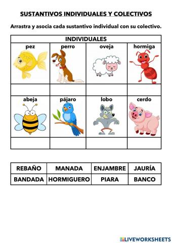 Sustantivos individuales y colectivos