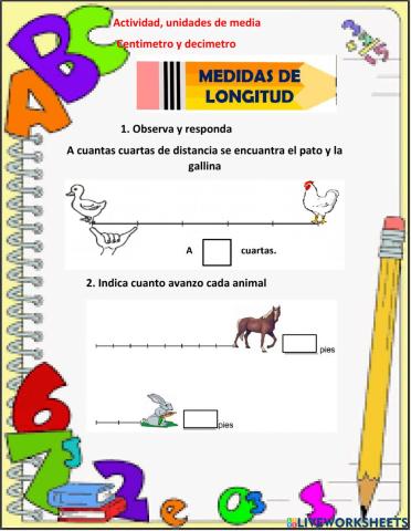 Unidades de medida 1°