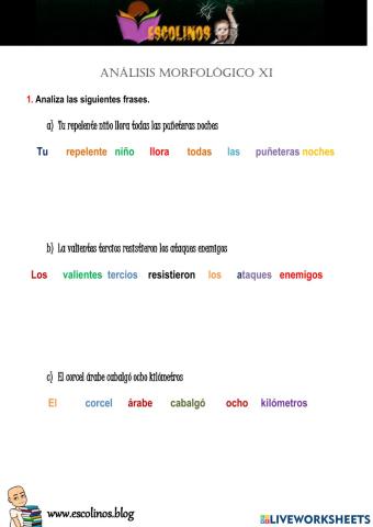 Análisis morfológico XI
