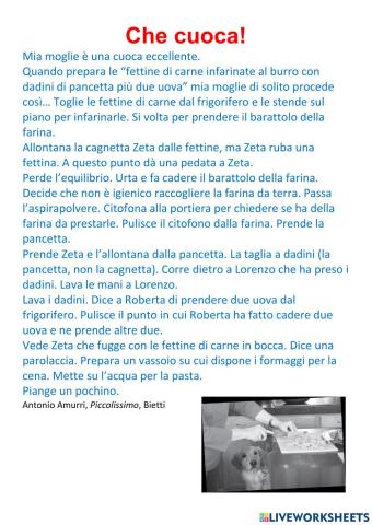 Comprensione del testo