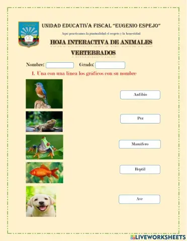 Animales Vertebrados