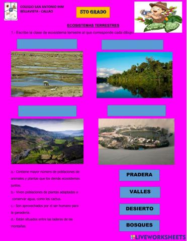 ECOSISTEMA TERRESTRE