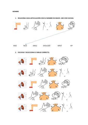 Vocabulario en inglés en Educación Física
