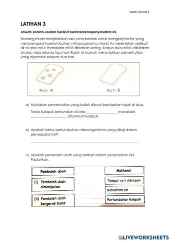 Sains Tahun 6 : Mikroorganisma