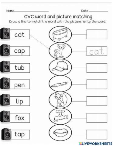 Cvc Word and Picture Matching
