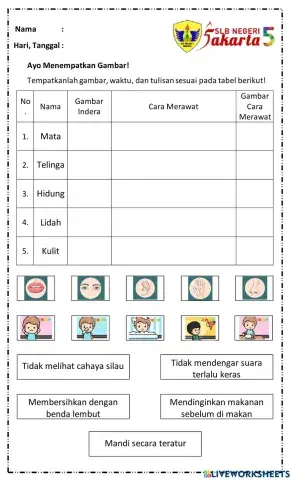 Cara Merawat Panca Indera